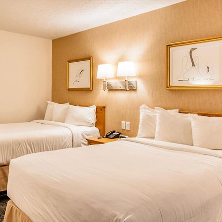 Motel Mistral 鲁安 外观 照片