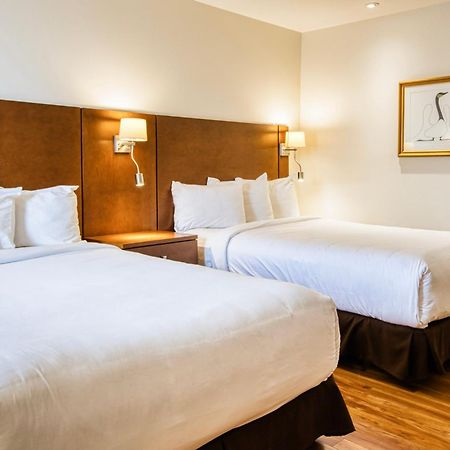 Motel Mistral 鲁安 外观 照片