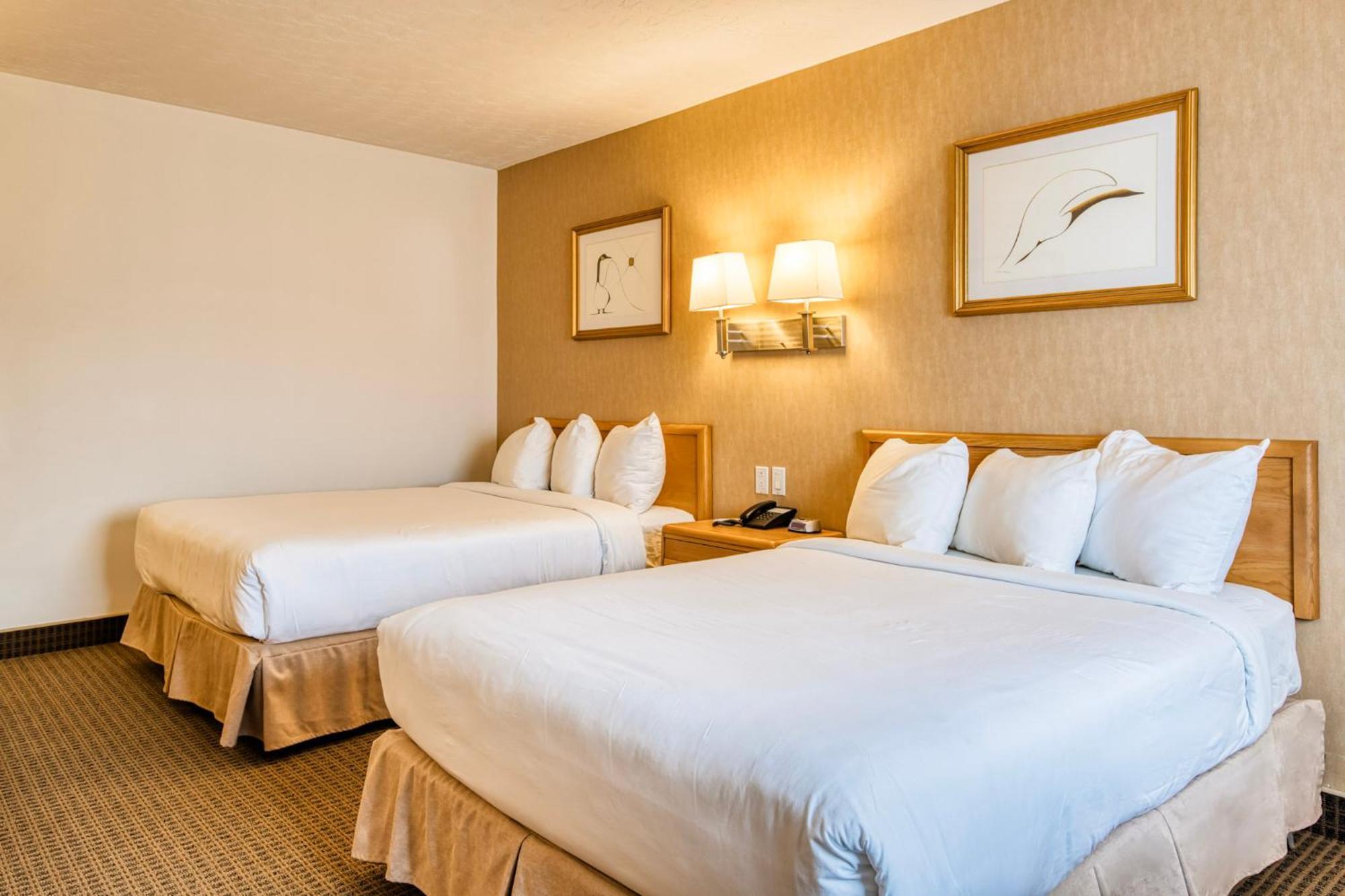 Motel Mistral 鲁安 外观 照片